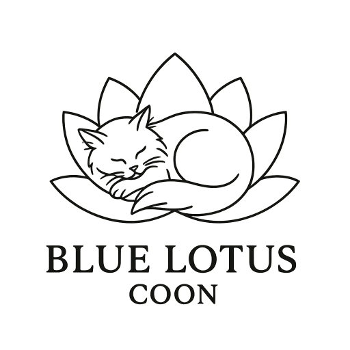 Blue Lotus Coon